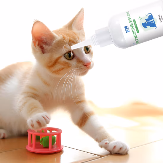 절묘한 꽃 방수 PU 가죽 및 면 안감 긴 소매 원예 장갑 애완동물 관리