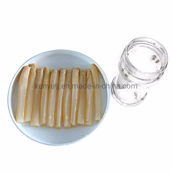 고품질 통조림 그린 아스파라거스 및 컷 화이트 아스파라거스