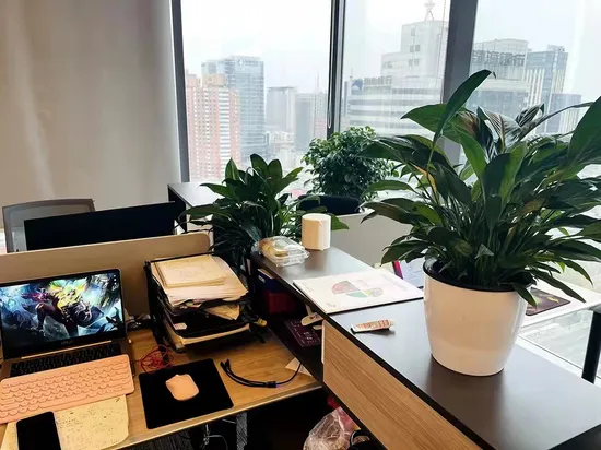 최고의 품질을 지닌 고순도 5가지 향신료 분말